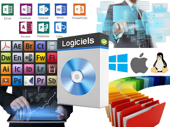 Vente Logiciel par C2i info sur Metz, Nancy, Luxembourg